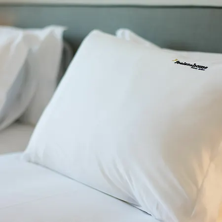 Feels Like Chiado Prime Bed & Breakfast Lisbona